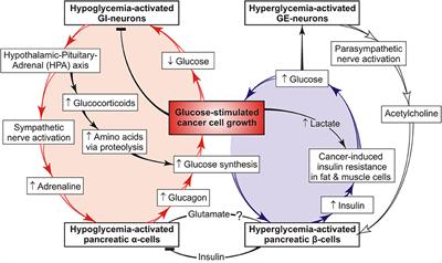 A View on Pathogenesis of ≪Vicious Cancer Progression Cycle≫